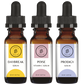 Travel Radiate Bundle